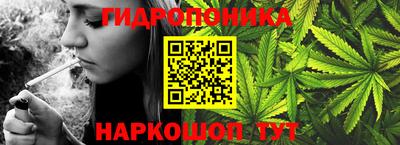 стафф Гатчина