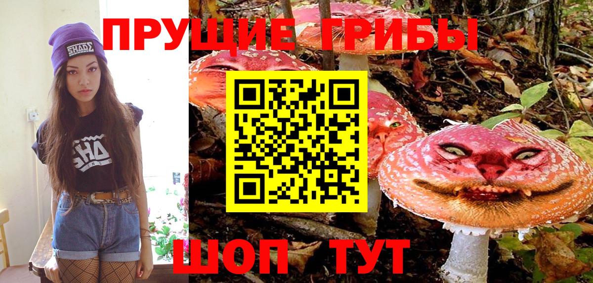 Георгиевск  Галлюциногенные грибы Magic Shrooms  Вход с VPN 